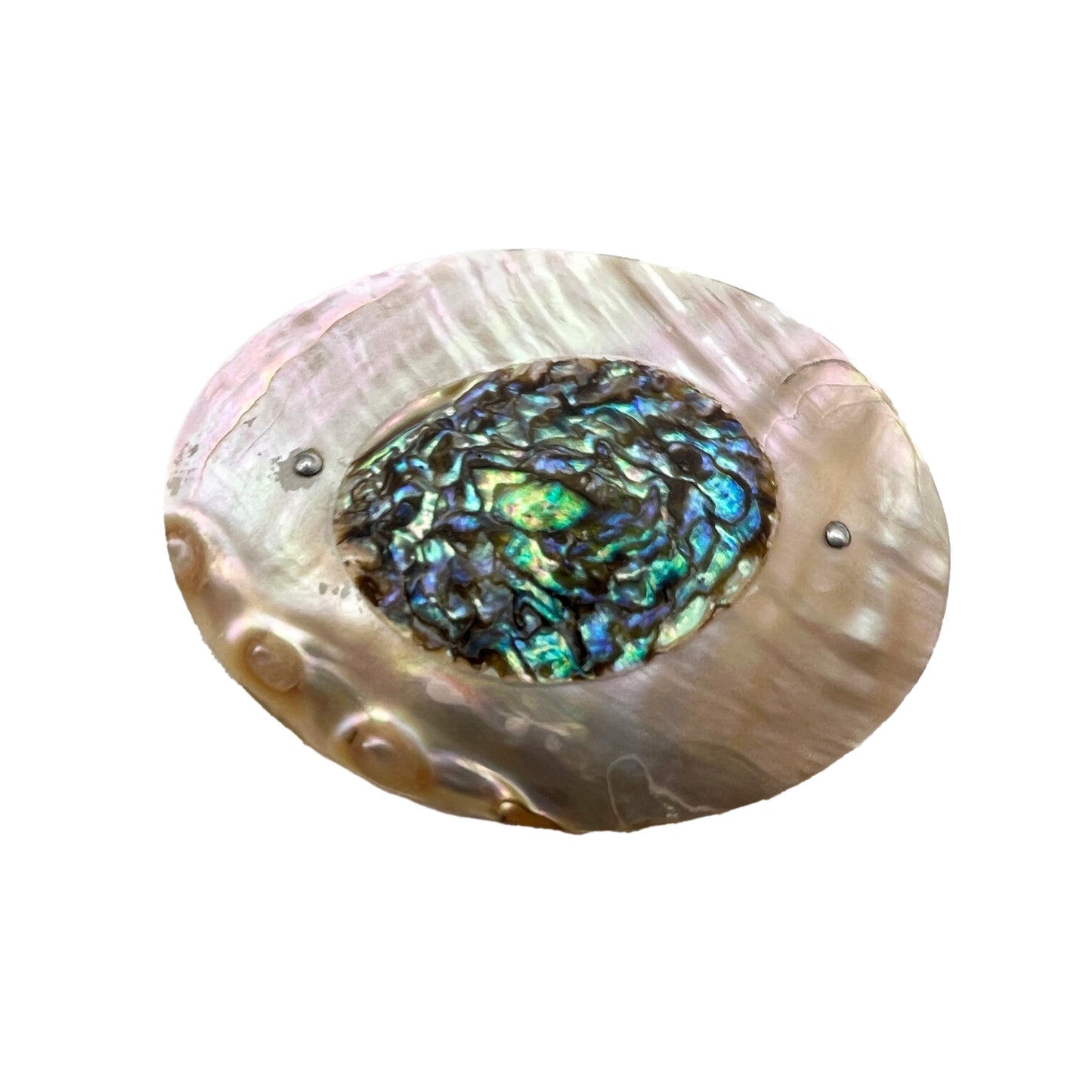Vintage 1920s Oval Abalone Shell Brooch/Pin