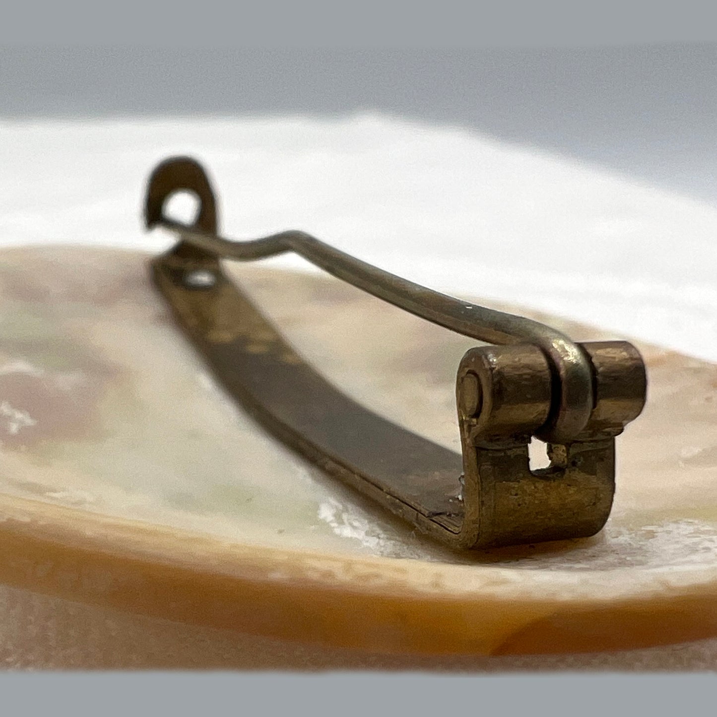 Vintage 1920s Oval Abalone Shell Brooch/Pin
