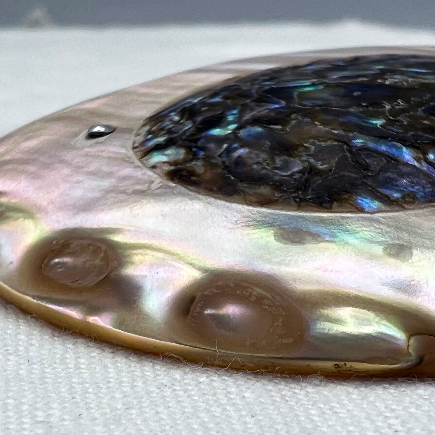 Vintage 1920s Oval Abalone Shell Brooch/Pin